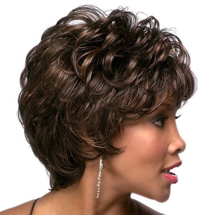 Ladies Oblique Bangs Fluffy Pick Color Wig Short Curly Hair Hood(Black Brown) - free shipping - PMC TechLife - Order now!