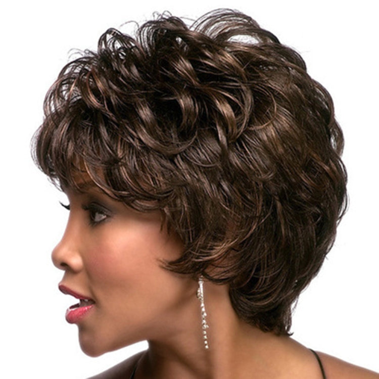 Ladies Oblique Bangs Fluffy Pick Color Wig Short Curly Hair Hood(Black Brown) - free shipping - PMC TechLife - Order now!