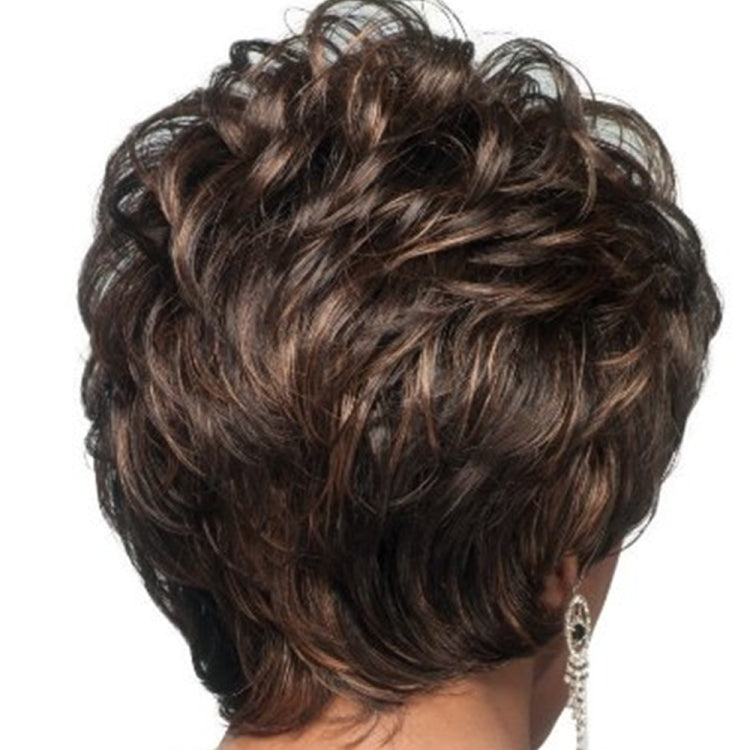 Ladies Oblique Bangs Fluffy Pick Color Wig Short Curly Hair Hood(Black Brown) - free shipping - PMC TechLife - Order now!