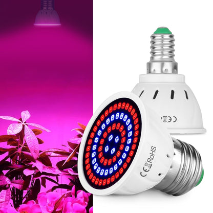 4 PCS LED Plant Growth Lamp Red Blue Spectrum Plant Fill Light, Power: E27 80 Beads - LED Grow Lights by PMC Jewellery | Online Shopping South Africa | PMC Jewellery