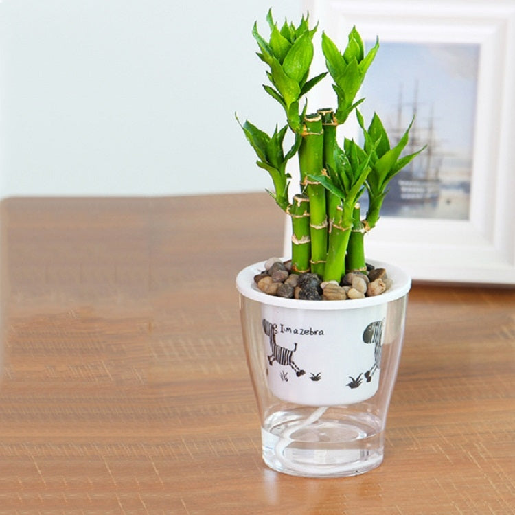Fully Transparent Hydroponic Flower Pots Water Level Visible Non-Broken Glue Self-Absorbent Plastic Flower Pots, Size: W05 Caliber 13cm(Full Transparent Zebra Pattern) - Flower Pots & Planters by PMc TechLife | Online Shopping South Africa | PMc TechLife | Buy Now Pay Later Mobicred