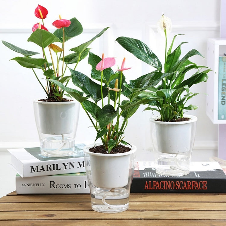 Fully Transparent Hydroponic Flower Pots Water Level Visible Non-Broken Glue Self-Absorbent Plastic Flower Pots, Size: W09 Caliber 17.5cm(Full Transparency) - Flower Pots & Planters by PMc TechLife | Online Shopping South Africa | PMc TechLife | Buy Now Pay Later Mobicred
