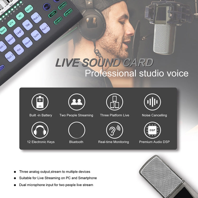 SK-200 Condenser Microphone Live Recording Equipment,Specification: Separate Sound Card - Live Sound Effects Processors by PMC Jewellery | Online Shopping South Africa | PMC Jewellery | Buy Now Pay Later Mobicred