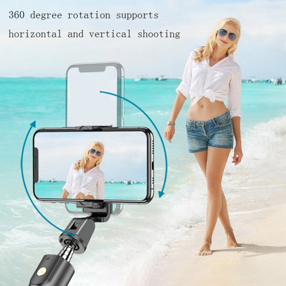 Mobile Phone Bluetooth Selfie Stick Live Bracket, Specification: K10S (With Fill Light White) - Selfie Sticks by PMC Jewellery | Online Shopping South Africa | PMC Jewellery | Buy Now Pay Later Mobicred