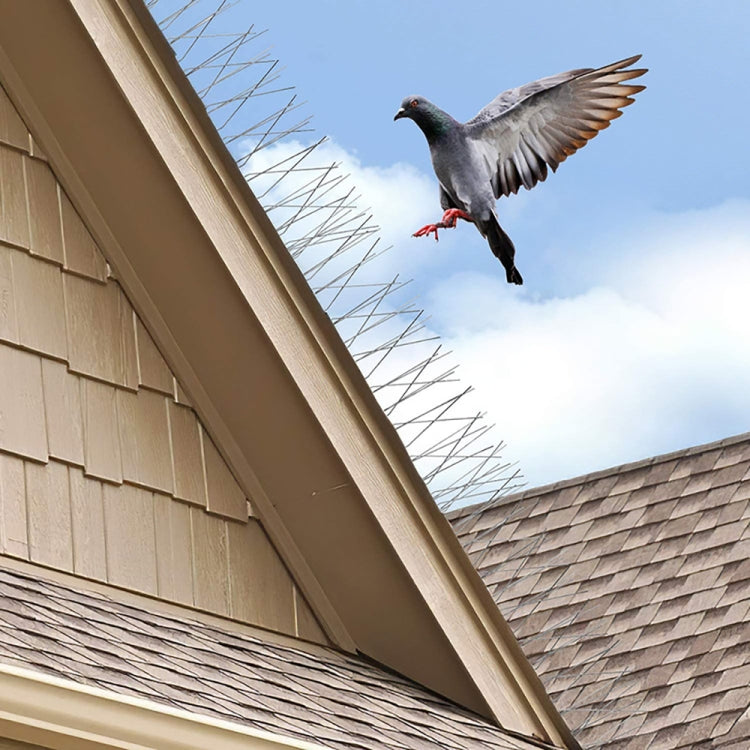 50cm Long Bird Repellent Anti-cat Thorn Stainless Steel Anti-bird Thorn - free shipping - PMC TechLife - Order now!