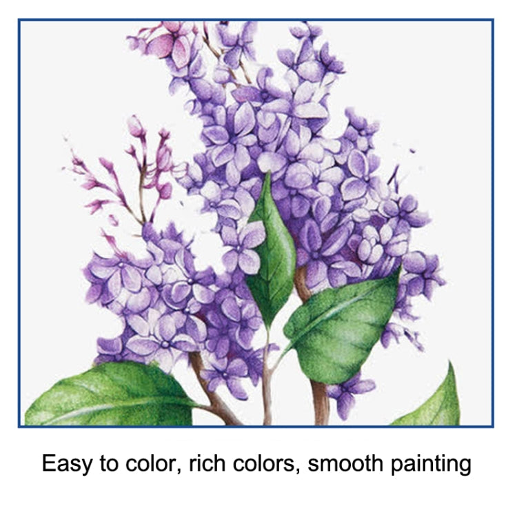 51pcs/set Sketch Color Pencil Set Art Student Drawing Kit - free shipping - PMC TechLife - Order now!