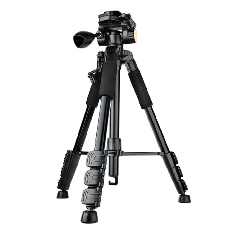 QingZhuangShiDai Q111 Aluminum Alloy Mobile Phone Camera Photography Tripod(Black) - free shipping - PMC TechLife - Order now!