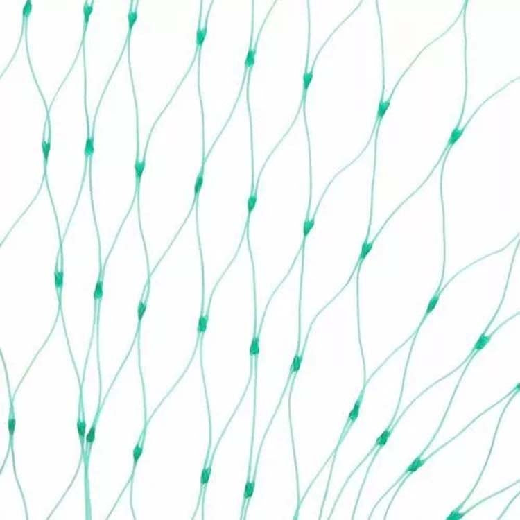 2Mx10M  Anti Bird Protection Net Mesh Garden Plant Netting Protect Plants and Fruit - Garden Netting by PMC TechLife | Online Shopping South Africa | PMC TechLife | Buy Now Pay Later Mobicred