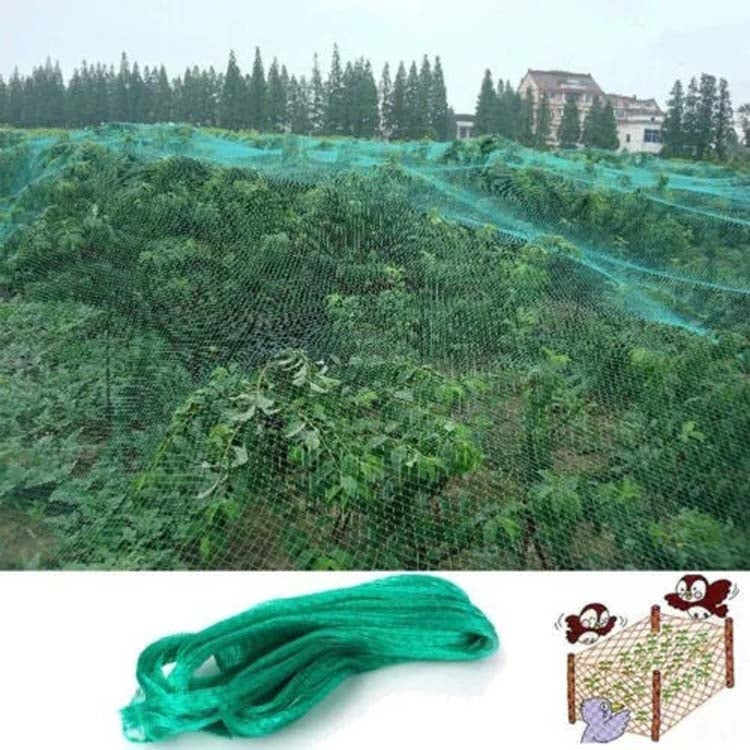 2Mx10M  Anti Bird Protection Net Mesh Garden Plant Netting Protect Plants and Fruit - Garden Netting by PMC TechLife | Online Shopping South Africa | PMC TechLife | Buy Now Pay Later Mobicred