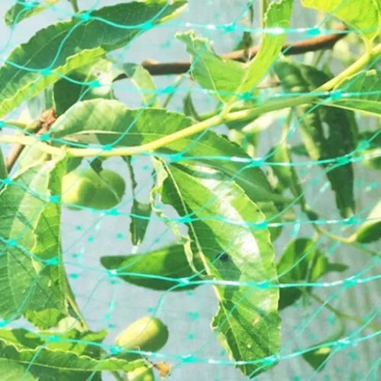 5Mx20M  Anti Bird Protection Net Mesh Garden Plant Netting Protect Plants and Fruit - Garden Netting by PMC TechLife | Online Shopping South Africa | PMC TechLife