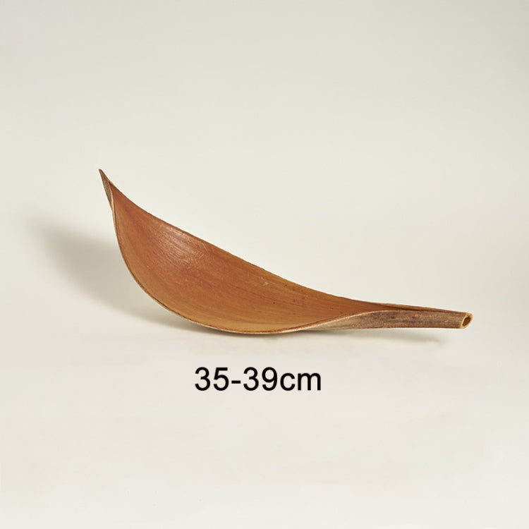 35-39 cm Cocoa Leaves Natural Plant Shooting Props Dry Flower Ornaments - Other Props by PMC TechLife | Online Shopping South Africa | PMC TechLife | Buy Now Pay Later Mobicred