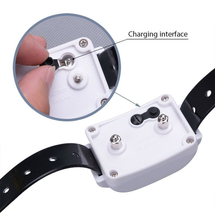 KD-661 500m Wireless Electric Dog Pet Fence Shock Collar,Spec: For Three Dog(UK Plug) - Training Aids by PMC TechLife | Online Shopping South Africa | PMC TechLife | Buy Now Pay Later Mobicred