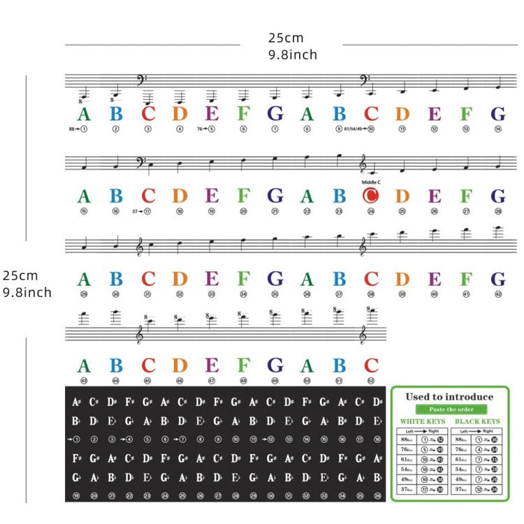 QT-0302 5PCS Children Piano Keyboard Color Stickers Musical Instrument Accessories - Keyboard Instruments by PMC TechLife | Online Shopping South Africa | PMC TechLife