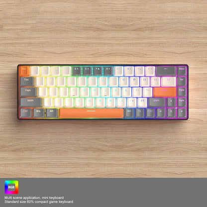 ZIYOU LANG T8 68 Keys RGB Gaming Mechanical Keyboard, Cable Length: 1.5m, Style: Micro Light Version Green Shaft - Wired Keyboard by ZIYOU LANG | Online Shopping South Africa | PMC Jewellery | Buy Now Pay Later Mobicred