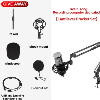 A9 USB Computer Phone Live Broadcast Microphone National K Song Recording Wired Microphone With Cantilever Stand - Microphone by PMC Jewellery | Online Shopping South Africa | PMC Jewellery | Buy Now Pay Later Mobicred