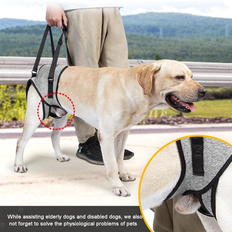 Dog Hind Leg Auxiliary Strap Decompression Auxiliary Travel Belt For Elderly and Injured Dog, Size: L - Protector Walking Aids by PMC TechLife | Online Shopping South Africa | PMC TechLife