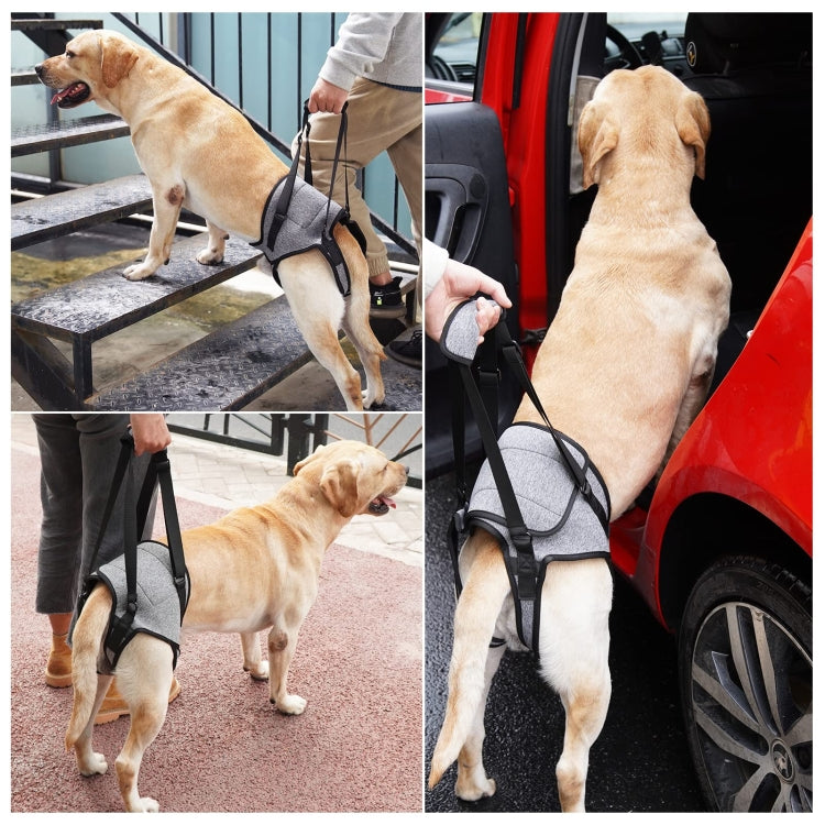 Dog Hind Leg Auxiliary Strap Decompression Auxiliary Travel Belt For Elderly and Injured Dog, Size: L - Protector Walking Aids by PMC TechLife | Online Shopping South Africa | PMC TechLife
