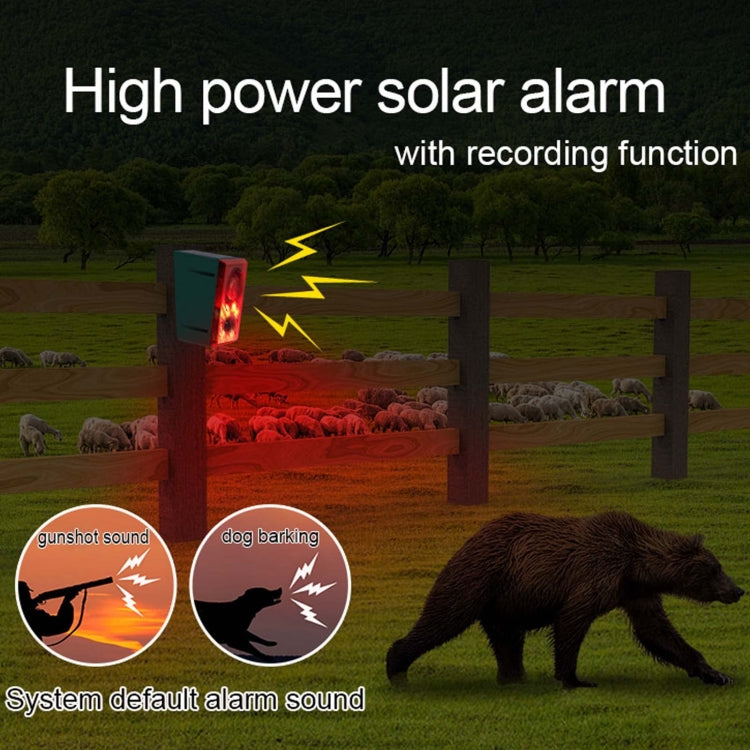 N911N Solar Alarm Infrared Sensor Sound And Light Blast Warning Light Animal Repeller(English Version) - Alarm System by PMC Jewellery | Online Shopping South Africa | PMC Jewellery