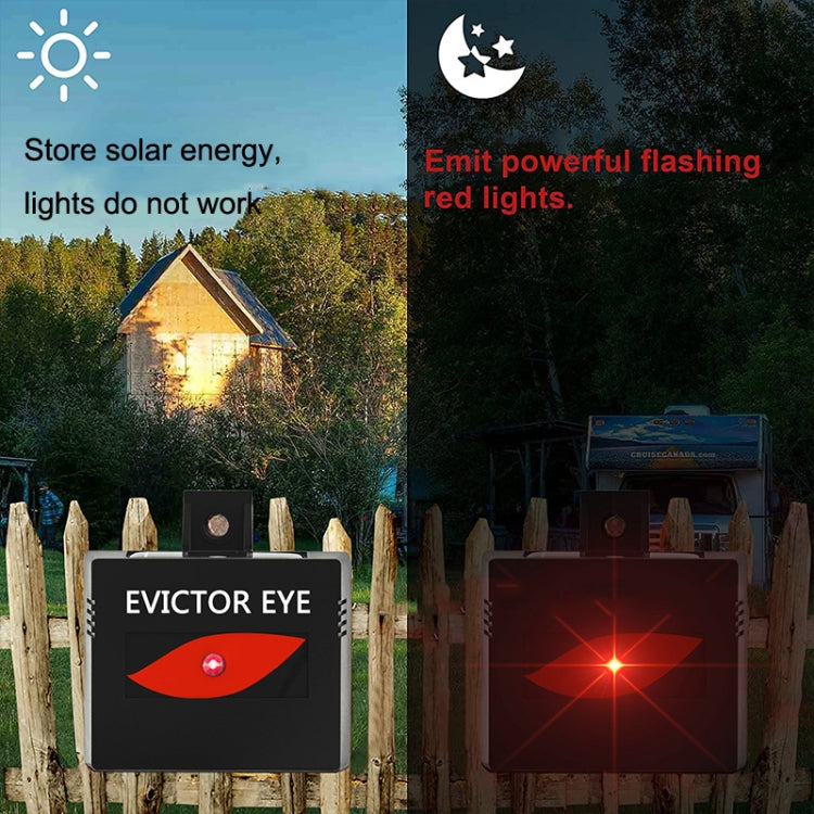 SK191 2pcs Solar Farm Wild Eagle Eye Animal Repeller - Outdoor Insect Repellent by PMC Jewellery | Online Shopping South Africa | PMC Jewellery | Buy Now Pay Later Mobicred