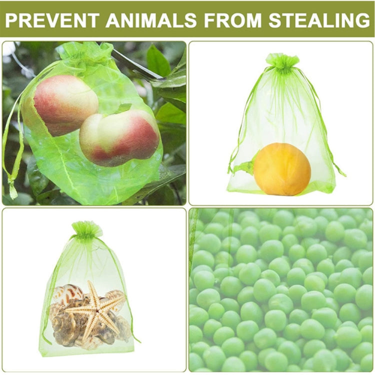 100pcs /Pack  Fruit Protection Bag Anti-Insect And Anti-Bird Net Bag 13 x 18cm(Black) - Plant Support & Care by PMC TechLife | Online Shopping South Africa | PMC TechLife | Buy Now Pay Later Mobicred