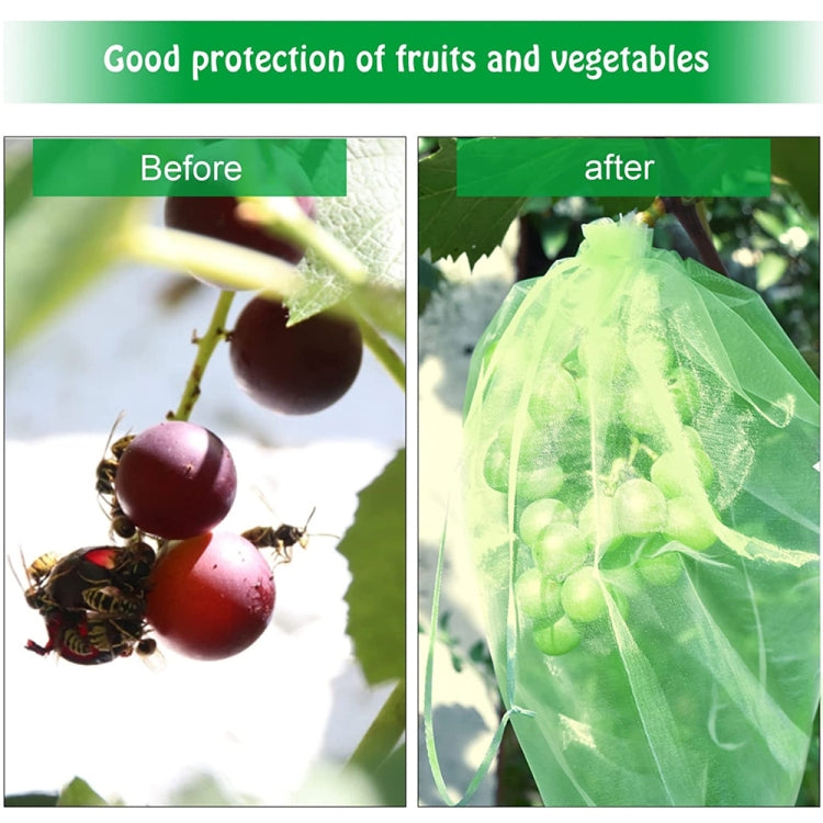 100pcs /Pack  Fruit Protection Bag Anti-Insect And Anti-Bird Net Bag 15 x 20cm(White) - Plant Support & Care by PMC TechLife | Online Shopping South Africa | PMC TechLife | Buy Now Pay Later Mobicred
