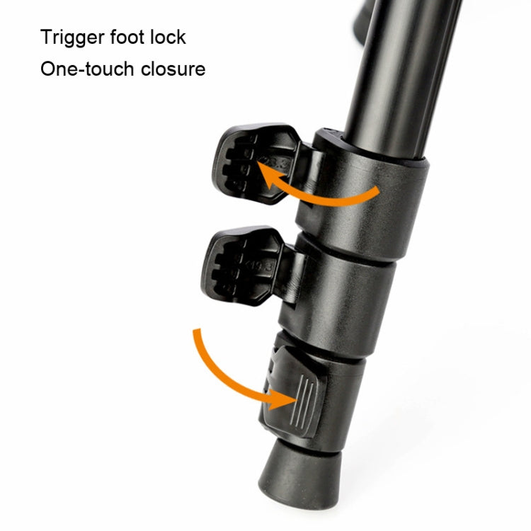 TRIOPO K268+KJ36 DSLR Tripod Photography Stand Portable Cell Phone Micro SLR Tripod - free shipping - PMC TechLife - Order now!