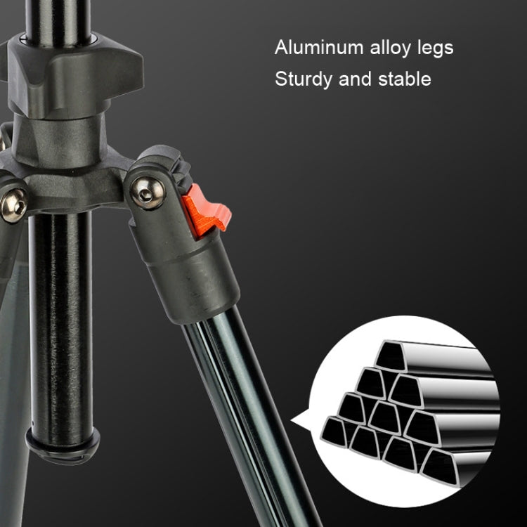 TRIOPO K268+KJ36 DSLR Tripod Photography Stand Portable Cell Phone Micro SLR Tripod - free shipping - PMC TechLife - Order now!