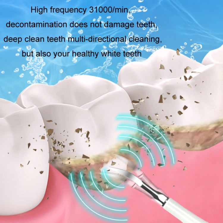 6 In 1 Electric Dental Scaler Calculus Removal Teeth Cleaning Set, Color: Black Exclusive - Oral Irrigators by PMC TechLife | Online Shopping South Africa | PMC TechLife | Buy Now Pay Later Mobicred