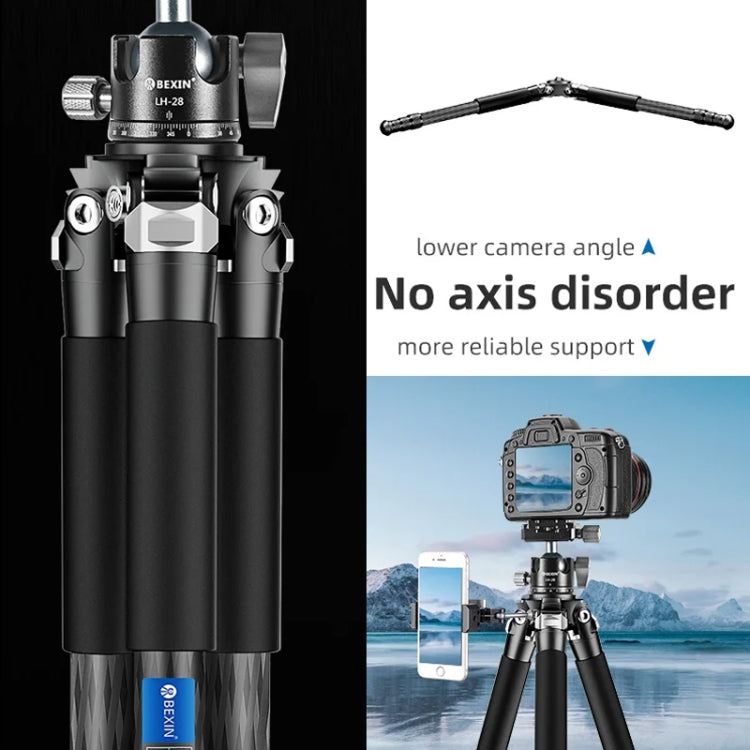 BEXIN RC254 Carbon Fiber Portable Folding Tripod SLR Camera Low Gravity Center Gimbal Photography Bracket - free shipping - PMC TechLife - Order now!