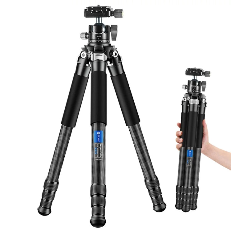 BEXIN RC254+LH-28 Carbon Fiber Portable Folding Tripod SLR Camera Low Gravity Center Gimbal Photography Bracket - free shipping - PMC TechLife - Order now!