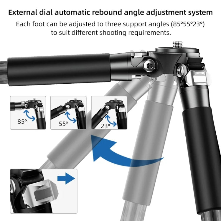 BEXIN RC254 Carbon Fiber Portable Folding Tripod SLR Camera Low Gravity Center Gimbal Photography Bracket - free shipping - PMC TechLife - Order now!