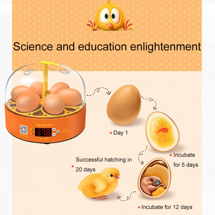 6-Eggs Small Household Experimental Children Smart Chicken Incubators, Spec: Dual-electric Automatic EU Plug - Incubators by PMC TechLife | Online Shopping South Africa | PMC TechLife