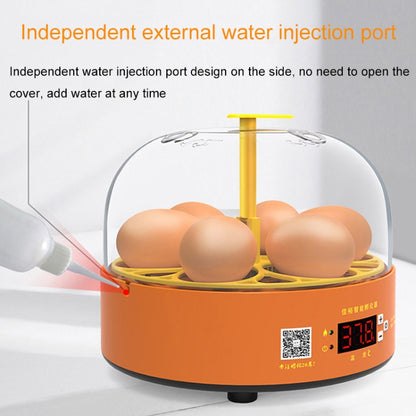 6-Eggs Small Household Experimental Children Smart Chicken Incubators, Spec: Automatic AU Plug - Incubators by PMC Jewellery | Online Shopping South Africa | PMC Jewellery