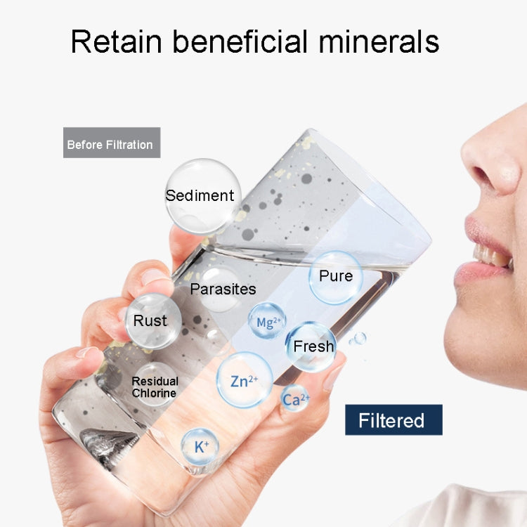 For Wheelton WHT-F201 / F202 Water Purifier Cartridge WHT-F201EF - free shipping - PMc TechLife - Order now!