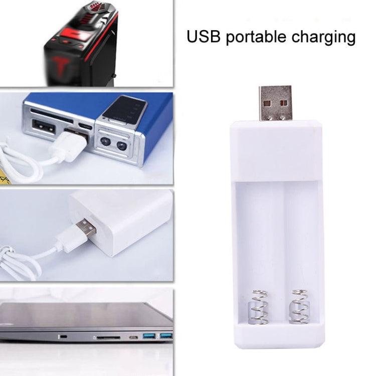 Directly Inserted 2 Slots USB AA / AAA Rechargeable Battery Charger - Charger & Converter by PMC Jewellery | Online Shopping South Africa | PMC Jewellery