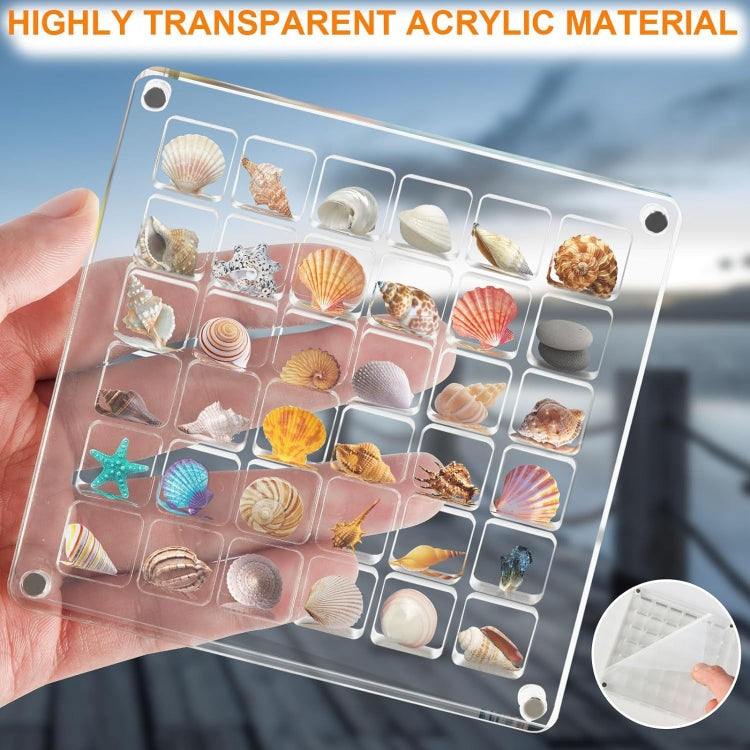 64 Grids Acrylic Magnetic Seashell Storage Display Box Beads Jewelry Nail Art Storage Box - Jewelry Storages by PMC Jewellery | Online Shopping South Africa | PMC Jewellery