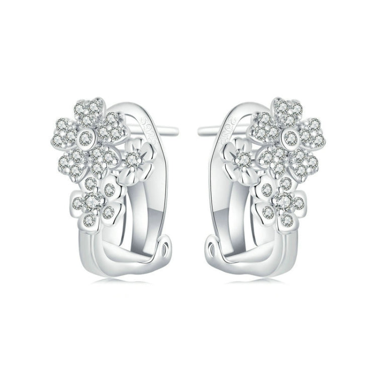 S925 Sterling Silver Platinum Plated Zircon Flower Earrings(BSE975) - Stud Earrings & Earrings by PMC Jewellery | Online Shopping South Africa | PMC Jewellery | Buy Now Pay Later Mobicred