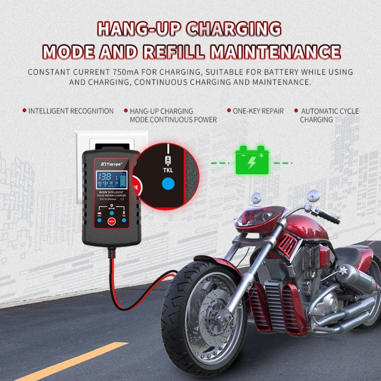 RJtianye 6V/12V ASE Adapter Cable Car Motorcycle Lawn Mower Battery Charger(EU Plug) - Battery Charger by RJtianye | Online Shopping South Africa | PMC TechLife | Buy Now Pay Later Mobicred