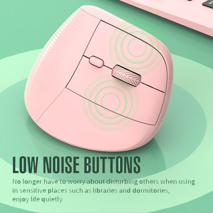 XUNSVFOX H5 Upright Vertical Dual Mode Mouse Rechargeable Wireless Business Office Mouse(Black) - free shipping - PMC Jewellery - Order now!