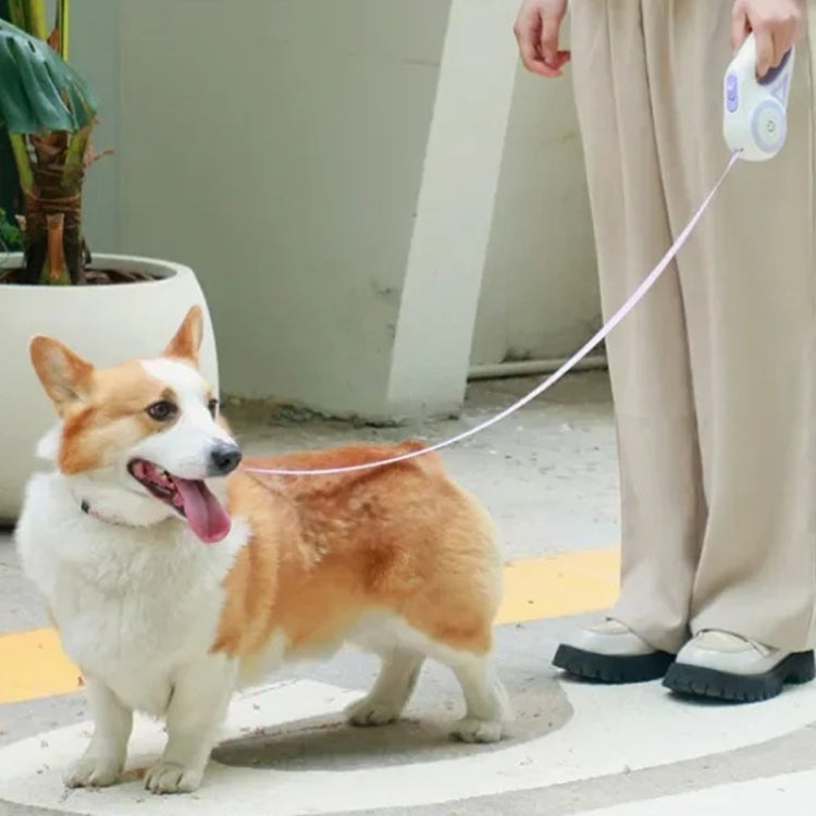 LED Light Luminous Pet Dog Leash Automatic Retractable Dog Walking Leash, Color: 3m Purple - Leashes & Chest Strap by PMC TechLife | Online Shopping South Africa | PMC TechLife | Buy Now Pay Later Mobicred