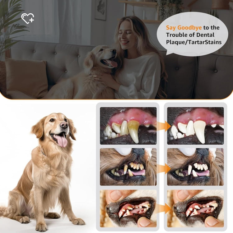 Pet Ultrasonic Teeth Cleaner Dog Electric Teeth Cleaning Tool Home Dentistry Tartar Remover(Black) - Oral Cleaning Tools by PMC TechLife | Online Shopping South Africa | PMC TechLife | Buy Now Pay Later Mobicred