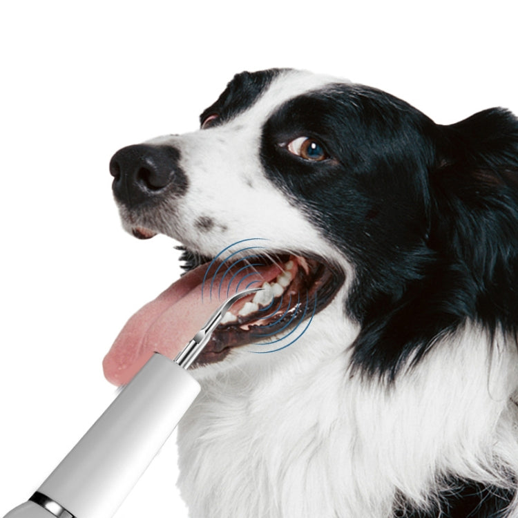 Pet Ultrasonic Teeth Cleaner Dog Electric Teeth Cleaning Tool Home Dentistry Tartar Remover(Black) - Oral Cleaning Tools by PMC TechLife | Online Shopping South Africa | PMC TechLife | Buy Now Pay Later Mobicred