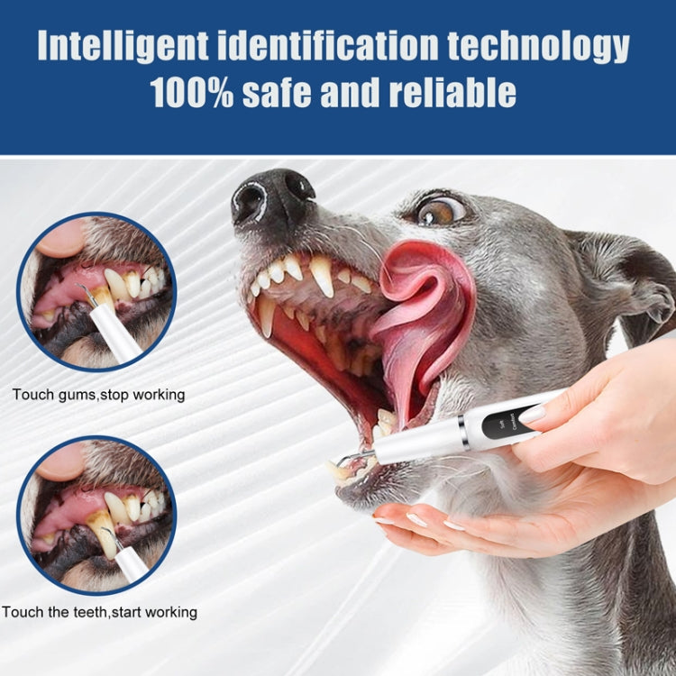 Pet Ultrasonic Teeth Cleaner Dog Electric Teeth Cleaning Tool Home Dentistry Tartar Remover(Black) - Oral Cleaning Tools by PMC TechLife | Online Shopping South Africa | PMC TechLife | Buy Now Pay Later Mobicred
