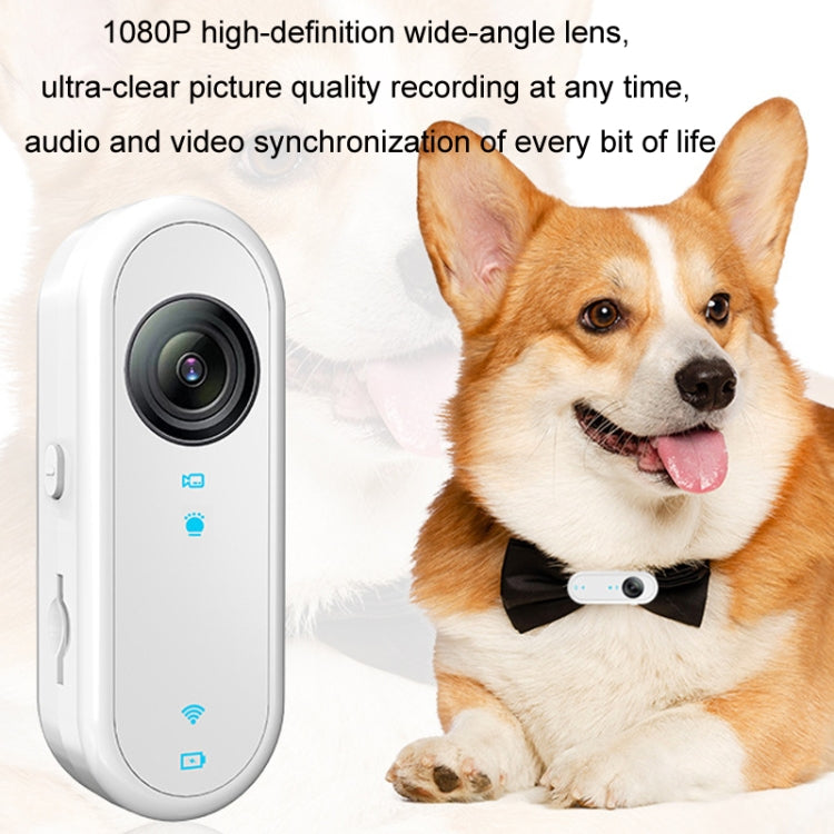 HD Outdoor Portable Pet Recorder Cycling Sports Camera, Specifications: No TF Card - Video Cameras by PMC TechLife | Online Shopping South Africa | PMC TechLife | Buy Now Pay Later Mobicred