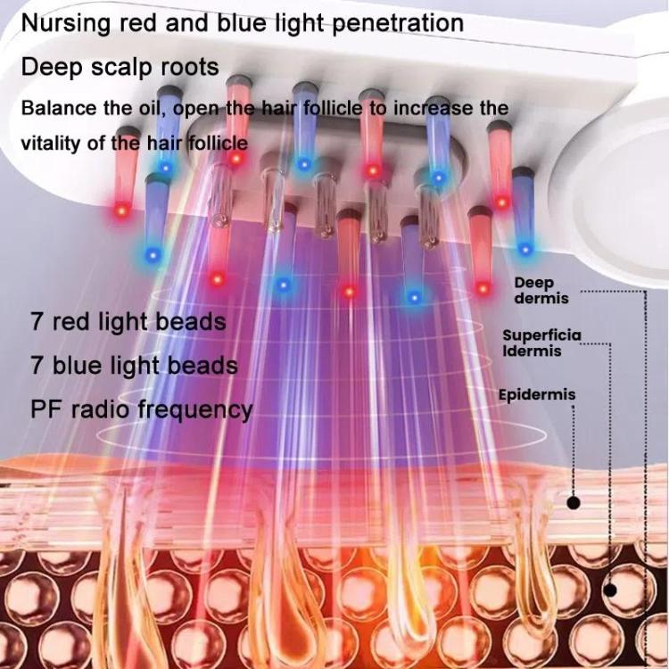 Hair Oil Applicator Roller Ball Red / Blue Light Electric Massage Comb Hair Regrowth Conductive Comb(Black) - free shipping - PMC TechLife - Order now!