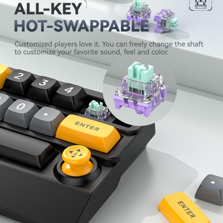 TBD06060852_B6.jpg@d80ccbd281fae8f42e4761e69e1718dd