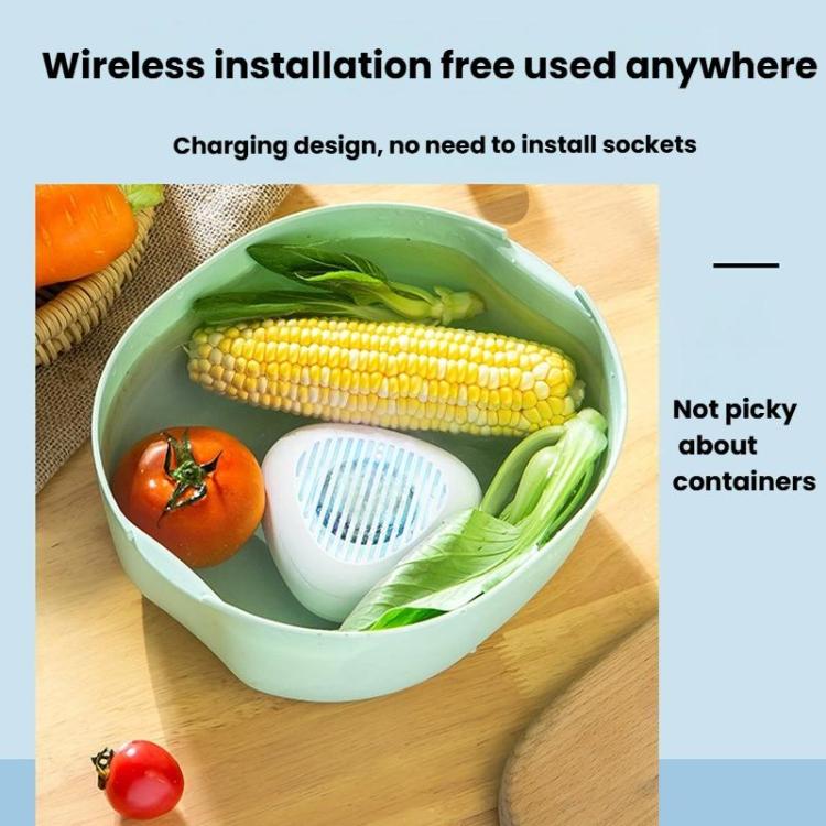 Portable Sterilization Pesticide Residue Removal Fruit Vegetable Cleaning Machine, Size: English(White) - free shipping - PMC TechLife - Order now!