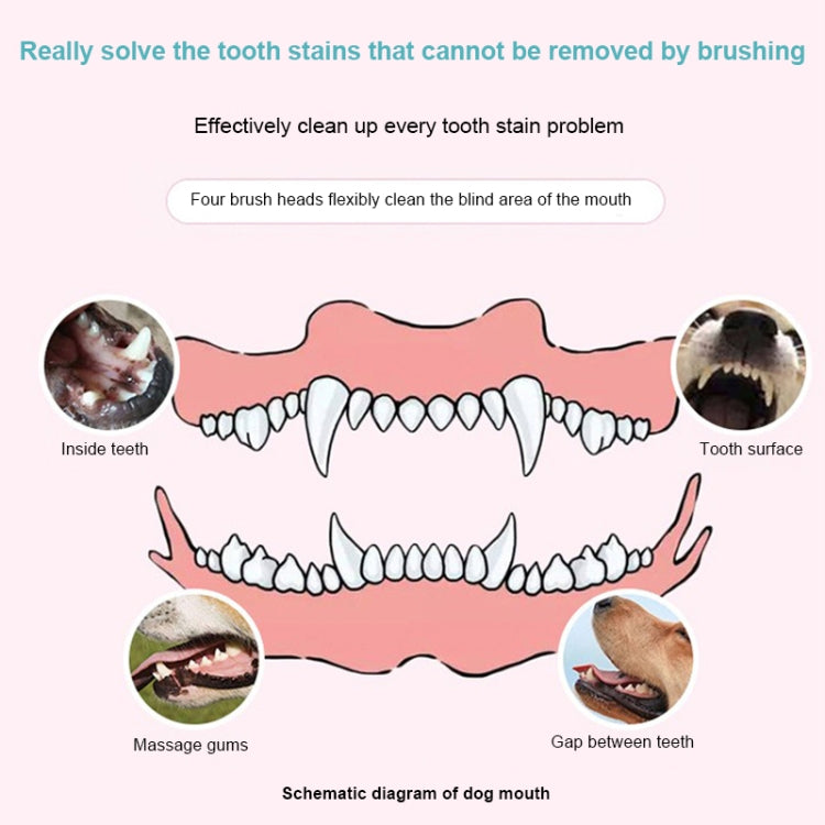 Pet Electric Toothbrush Tooth Polisher Oral Cleaning Plaque Removal Tool(Pink) - Oral Cleaning Tools by PMc TechLife | Online Shopping South Africa | PMc TechLife | Buy Now Pay Later Mobicred