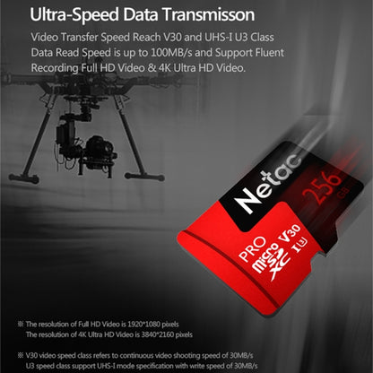 Netac P500 PRO 256GB U3 Speed Level Automobile Data Recorder Monitor Camera Memory Card TF Card - Micro SD Card by Netac | Online Shopping South Africa | PMC Jewellery | Buy Now Pay Later Mobicred