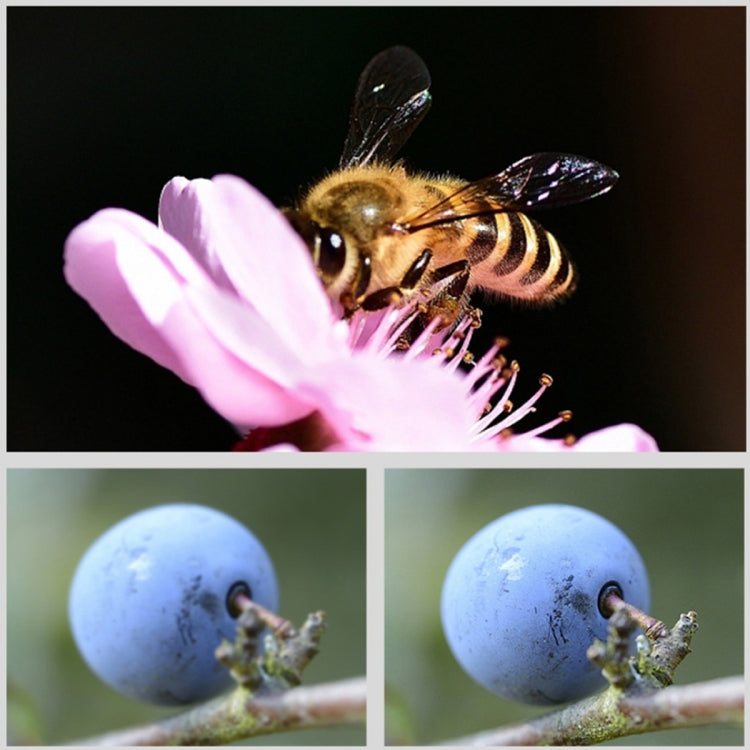 RUIGPRO for GoPro HERO10 Black / HERO9 Black Professional 52mm 52mm 10 in 1 UV+ND2+ND4+ND8+Star 8+ +CPL+Yellow/Red/Purple+10X Close-up Lens Filter with Filter Adapter Ring & Lens Cap - free shipping - PMC TechLife - Order now!